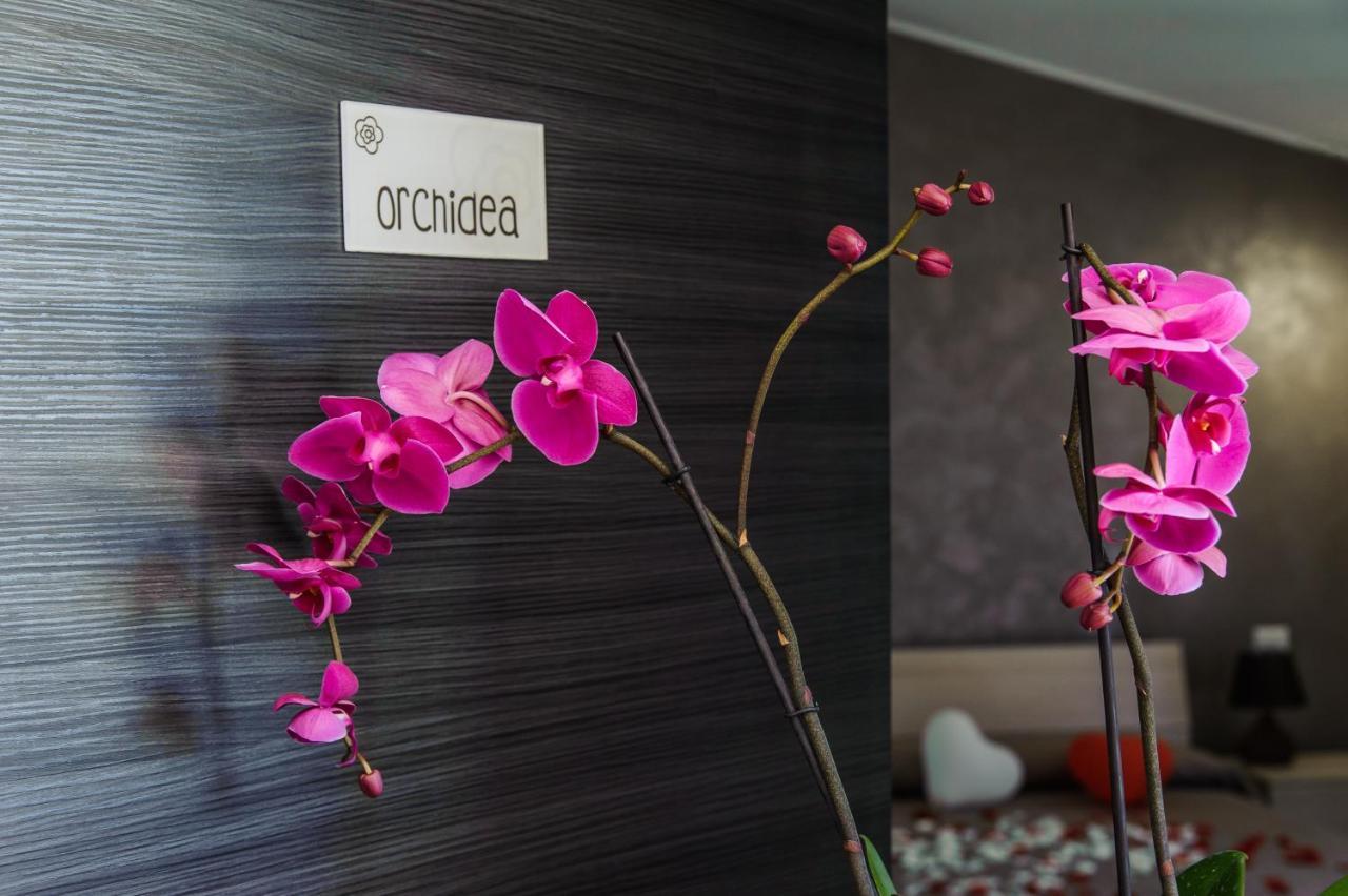 B&B Villa Fiorita เปียซซา อาร์เมรีนา ภายนอก รูปภาพ